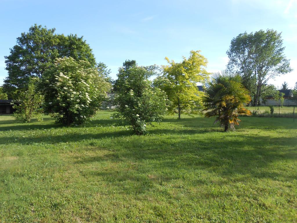 Clos Du Bois Brard B&B Saumur Dış mekan fotoğraf